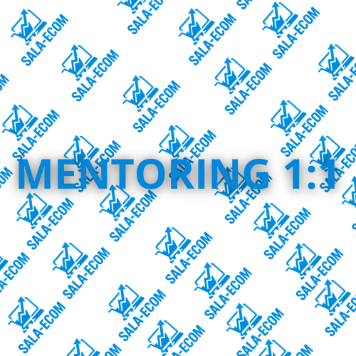 Mentoring 1:1